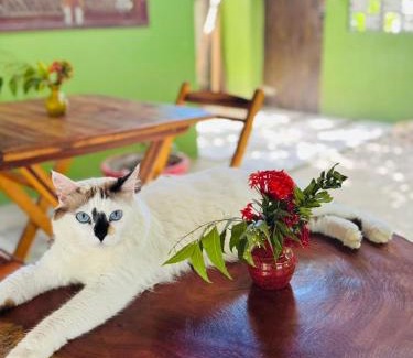Tamandare Hotel | Pousada Águas de Tamandaré