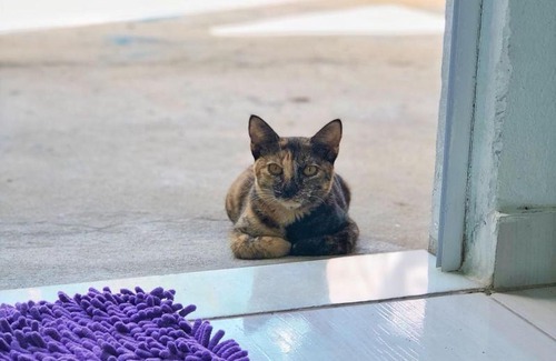 Baia Formosa Hotel | Pousada Bela Formosa