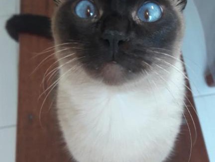 Baia Formosa Hotel | Pousada Bela Formosa