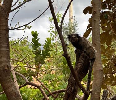 Santana do Riacho Hotel | Pousada Cachoeiras do Cipó