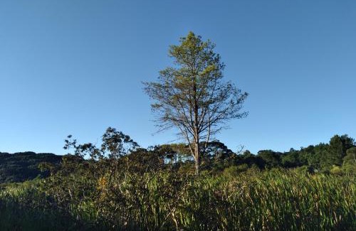Quatro Barras Bed & Breakfast | Pousada do Itupava