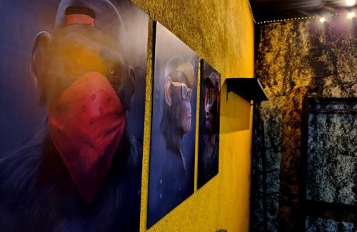 Sao Roque de Minas House | Pousada e camping Canastra Mineira