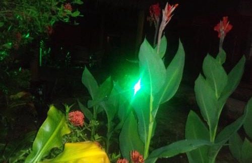 Barra do Paraguacu Hotel | Pousada Luar de Monte Cristo