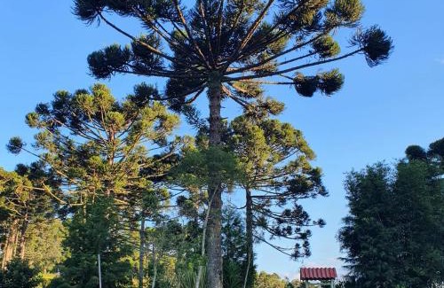 Bocaina do Sul House | Pousada Recanto Das Araucárias
