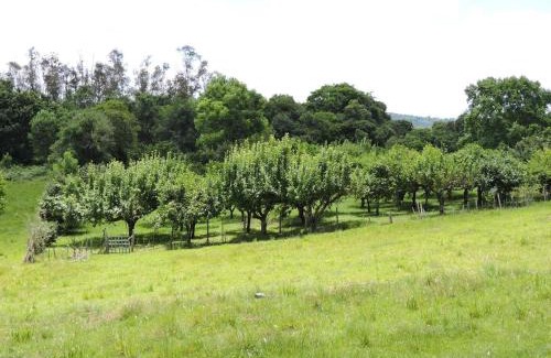 Caxias do Sul House | Pousada Sítio Paremi