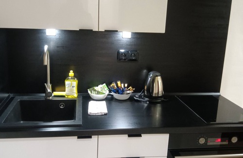 Prague 1 Apartment | Powder Tower Suites