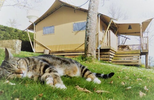 Cassagnabere-Tournas House | Pré Fixe campsite **** - Cassiopée Cottage 3 rooms 5/7 people