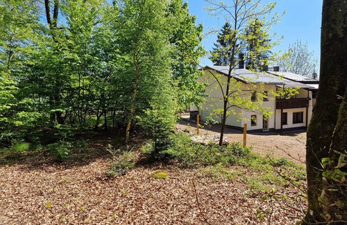 Pruemzurlay House | Prümzurlayer forest view