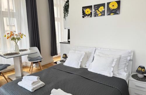 Petrska ctvrt Apartment | Praha 1 Florenc Hlavní mesto Romantic Apartments