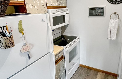 Port Clinton Condo | Premium Penthouse Condo, easy walk to jet express, Docks beach house & downtown