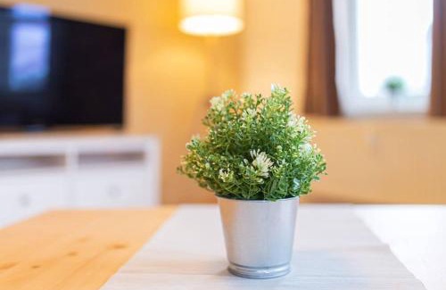 Chemnitz Apartment | Pretty Home Skyline Work & Stay