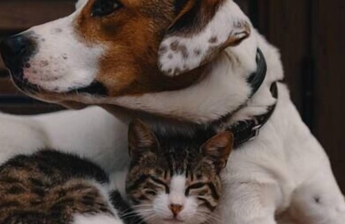 Puiseux-en-France House | Pretty little house for any type of stay