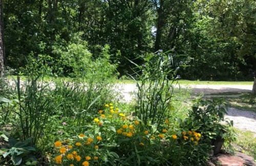 Bourbon RV Rental | Primitive Campsites with water spigot, toilets, and wifi!