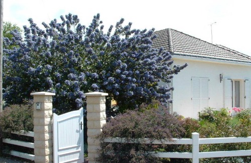 Saint-Brevin-les-Pins Resort | Private room ∙ 2 guests