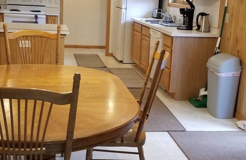 Grand Rapids Cabin | Private cabin in the woods near a serene creek and towering pine trees.