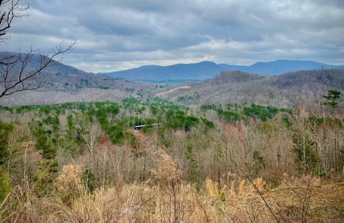 Vein Mountain Cabin | Private Cabin in the Woods - Relax by the Creek!