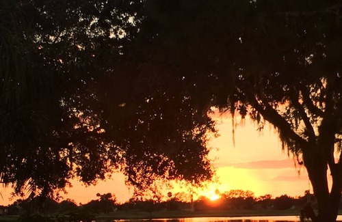 Regency Oaks House | Private Pool Lakefront Regency Oaks Cranes Galore