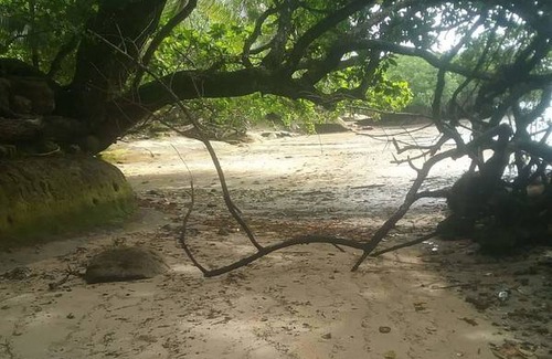 Nasinu Resort | Private room ∙ 2 guests