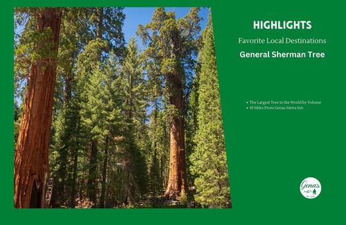 Dunlap Apartment | Private Room #3: Queen + Priv Bath | Near Kings Canyon & Sequoia National Parks