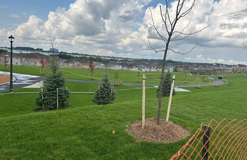 Ajax House | Private Room in Ajax