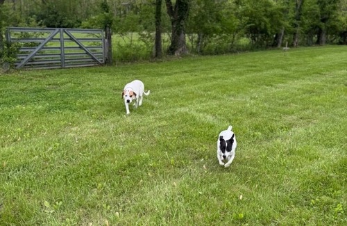 Winfield RV Rental | Private RV Boondocking Retreat – Easy Access, Big Sky Views! Close to hwy 79/61