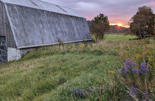 Osceola RV Rental | Private tent camping along the Salmon River on 165-acre Farm.
