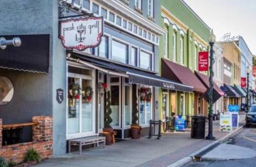 Apex Apartment | Private, Updated Townhouse in DT Apex