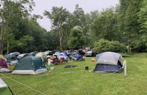 Cuddebackville House | Private view of grapes and woods. 5 minutes to river 30 minute drive to Legoland