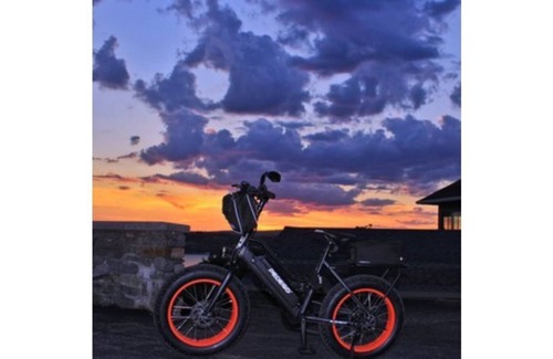 Cuddebackville House | Private view of grapes and woods. 5 minutes to river 30 minute drive to Legoland