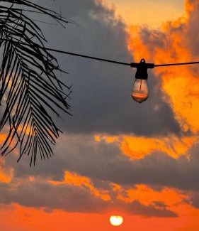 El Placer House | Pronoia Casa de Playa
