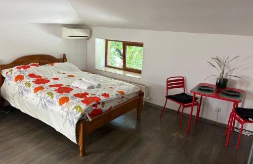 Copou Apartment | Propriete 12 - Close to downtown, Spiridon Hospital, IRO Hospital