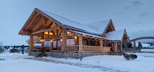 Toplita House | Prosilva house