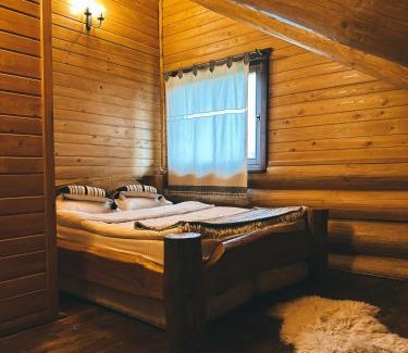 Toplita House | Prosilva house