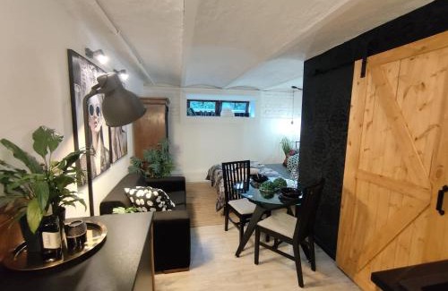 Brynow Apartment | Przytulne Studio 4 z parkingiem