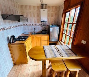 Puerto Rio Tranquilo House | Puerto Río Tranquilo