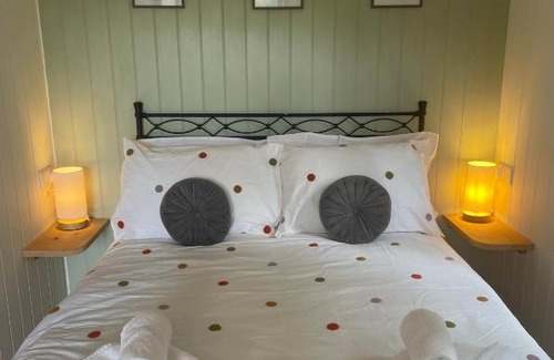 Machynlleth Ski Chalet | Pwllglas Bach - Spacious Cabin