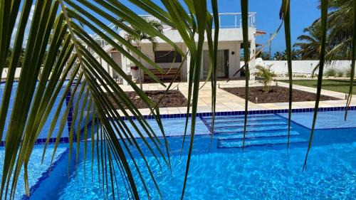 Touros House | Qavi - Casa Palm Paradise #ParaisoDoBrasil