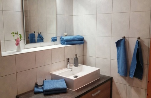 Bad Gottleuba Condo | Quarter at the market