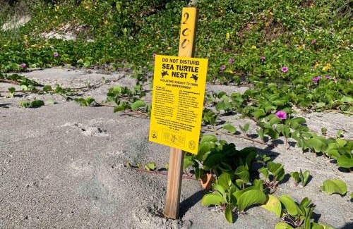 Tropic House | Quaint Coastal Pool Home on Florida's Space Coast