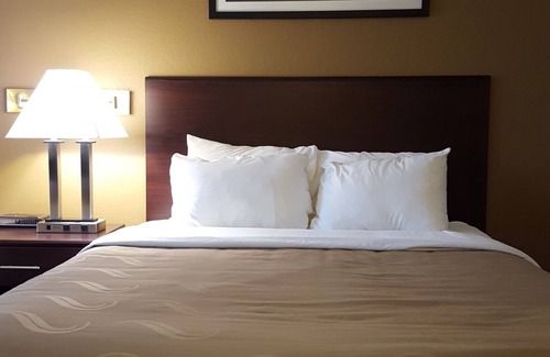 Ozark Hotel | Quality Inn Ozark-Springfield South