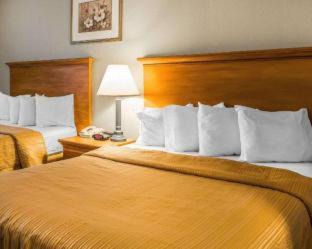 Tracy Hotel | Quality Inn Tracy I-205