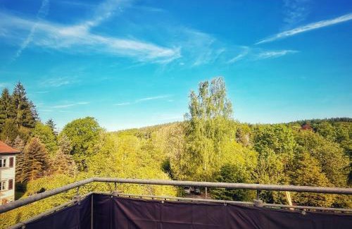 Berggieshubel Apartment | Quartier - alte Steigerbaude