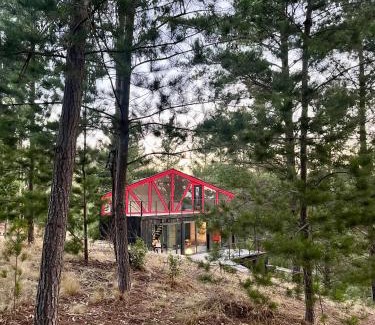 Navidad House | Quebrada Pupuya, una cabaña en medio del bosque