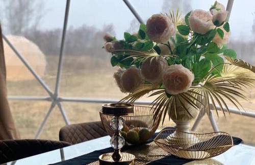 Apsuciems Villa | Queen design tiny villa & spa