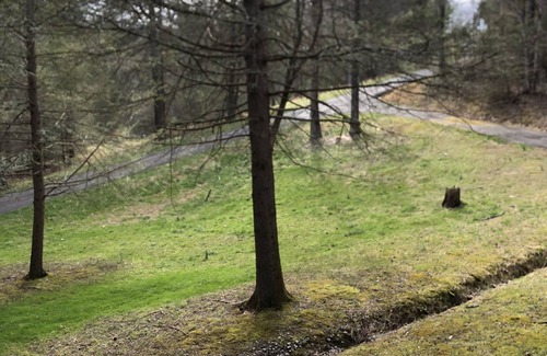 Oneida Cabin | Quiet Get-a-way near the Big South Fork and Brimstone Recreation