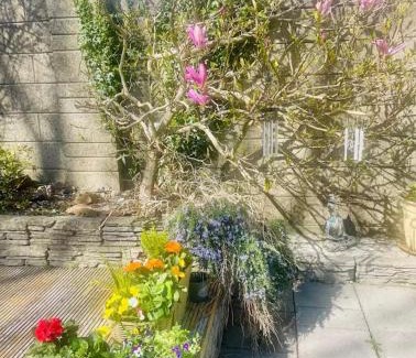 Wexford House | Quiet Room in Wexford with Local Charm