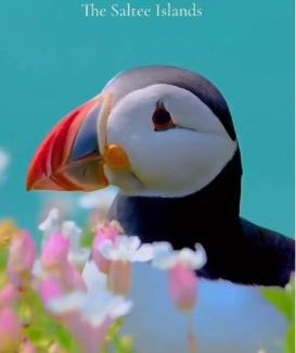 Wexford House | Quiet Room in Wexford with Local Charm