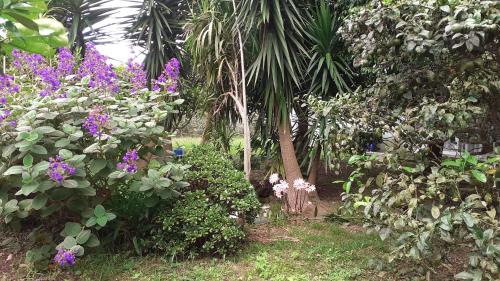 Fenais da Luz House | Quinta das rãs