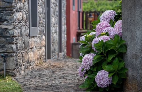 Estreito da Calheta House | Quinta das Vinhas