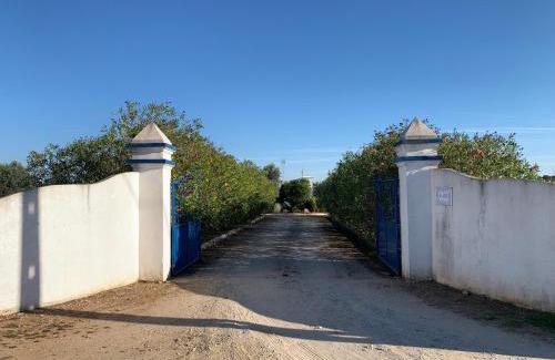 Alvito House | Quinta do Céu Tranquilidade e Piscina no Alentejo